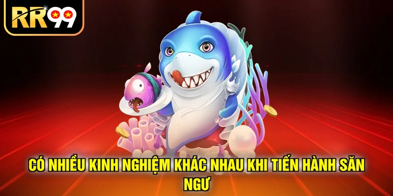 Có nhiều kinh nghiệm khác nhau khi tiến hành săn ngư